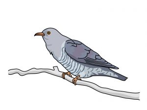 閑古鳥が鳴く