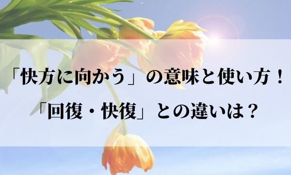 快方に向かう の意味と使い方 回復 快復 との違いは 例文つき 語彙力 Com