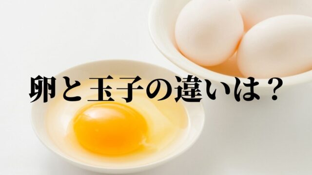 卵と玉子の違いは？卵焼きと玉子焼きは？漢字の使い分けについて
