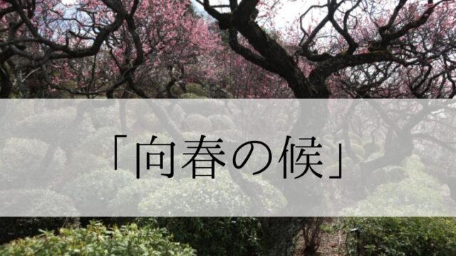 「向春の候」の時期はいつからいつまで？結びや使い方と例文