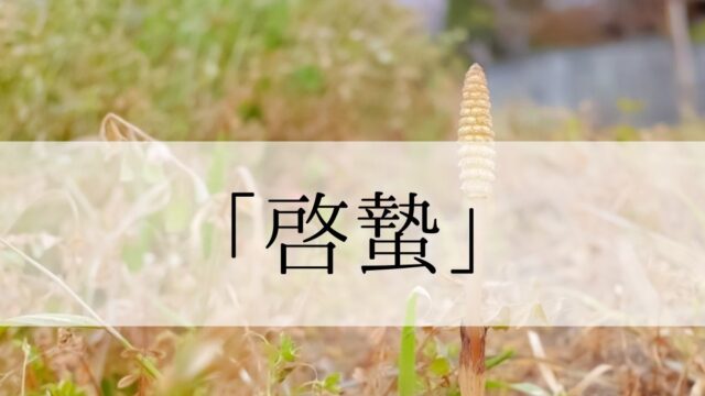 啓蟄の意味と由来とは？2024年はいつ？食べ物や行事と「啓蟄の虫」ってなに？