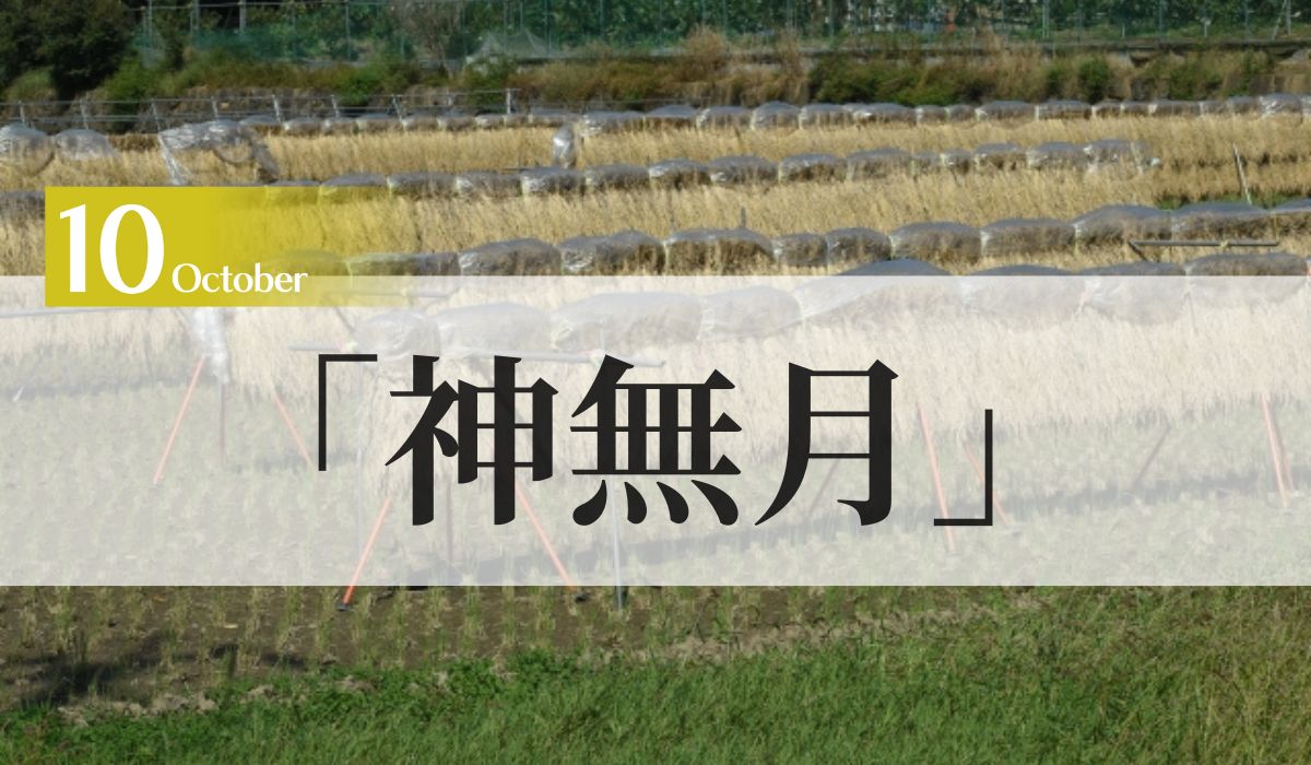 「神無月」の意味とは？由来や出雲は「神在月」になる？理由は？