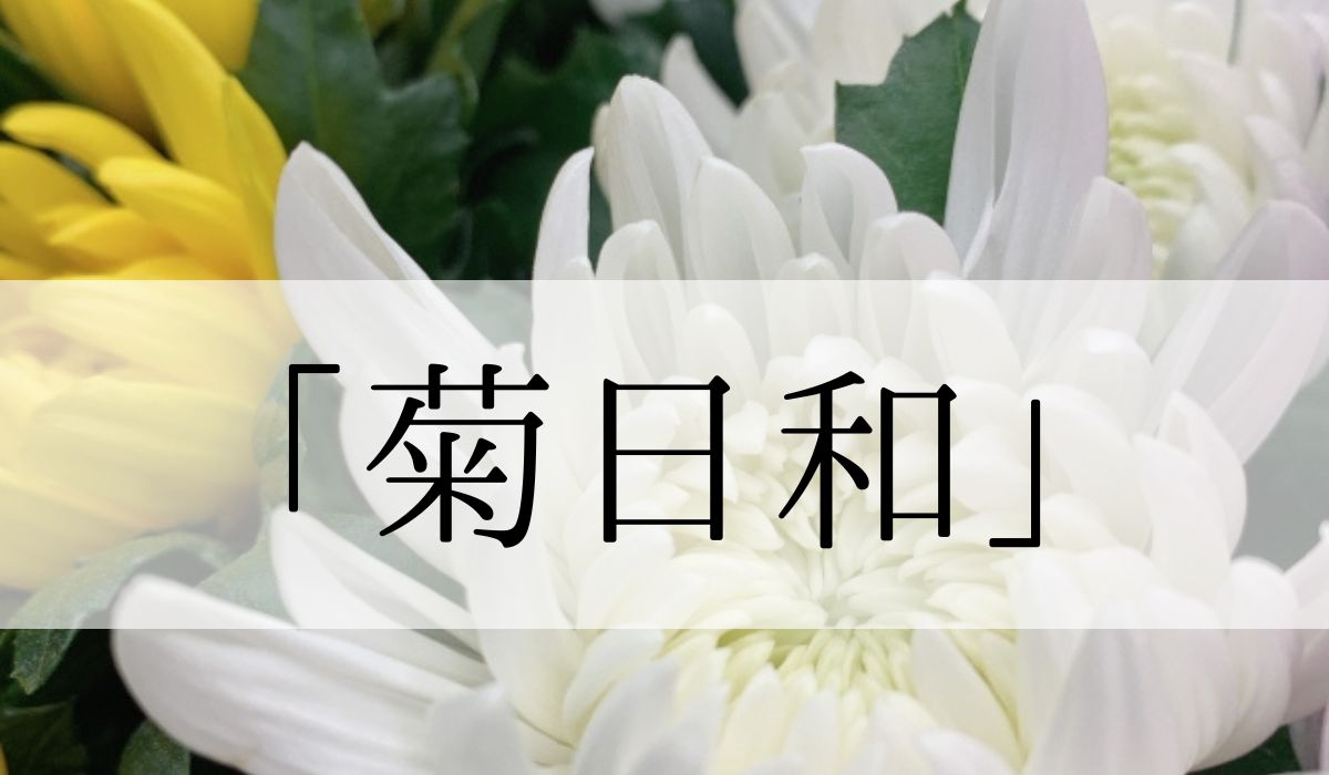 「菊日和」の意味や読み方とは？いつの季語？俳句も紹介