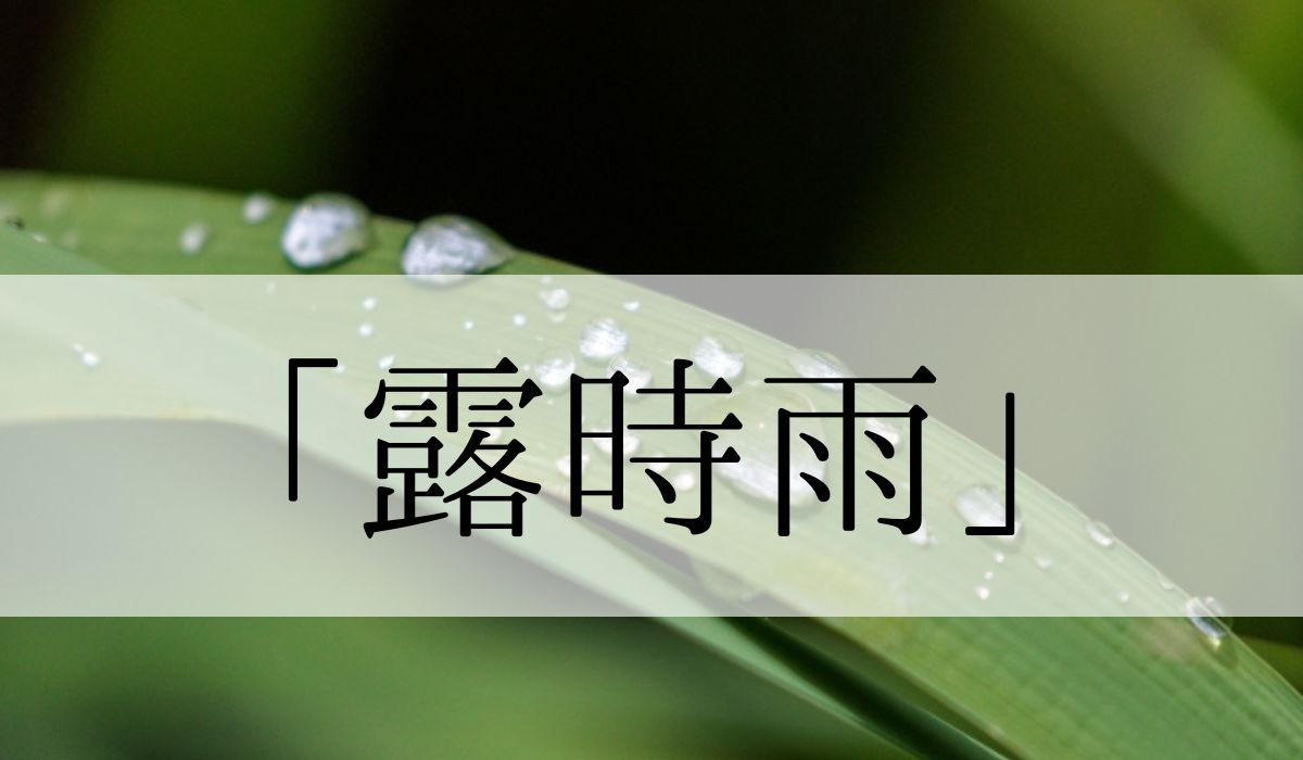 季語「露時雨」の意味と読み方とは？いつ頃の季語？俳句も紹介