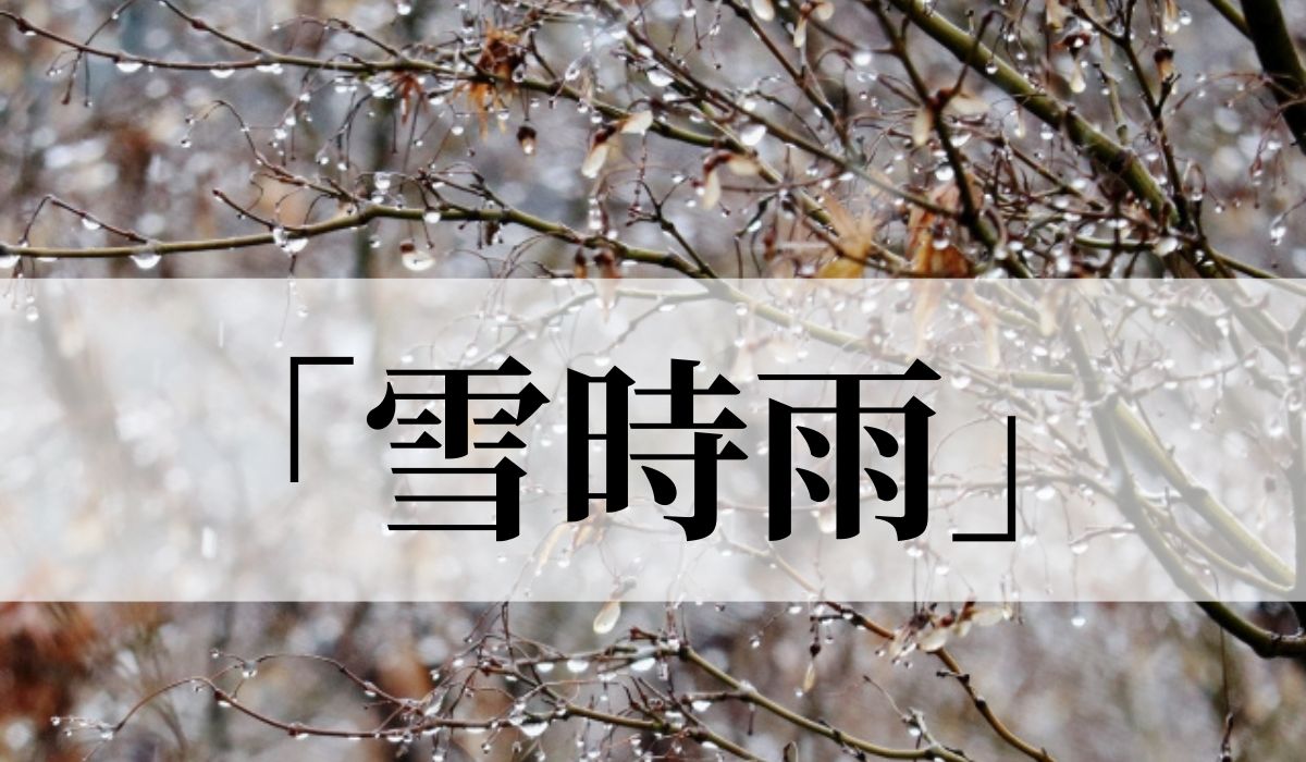 「雪時雨」の意味と読み方とは？いつの季語？「冬時雨」との違いや俳句も紹介