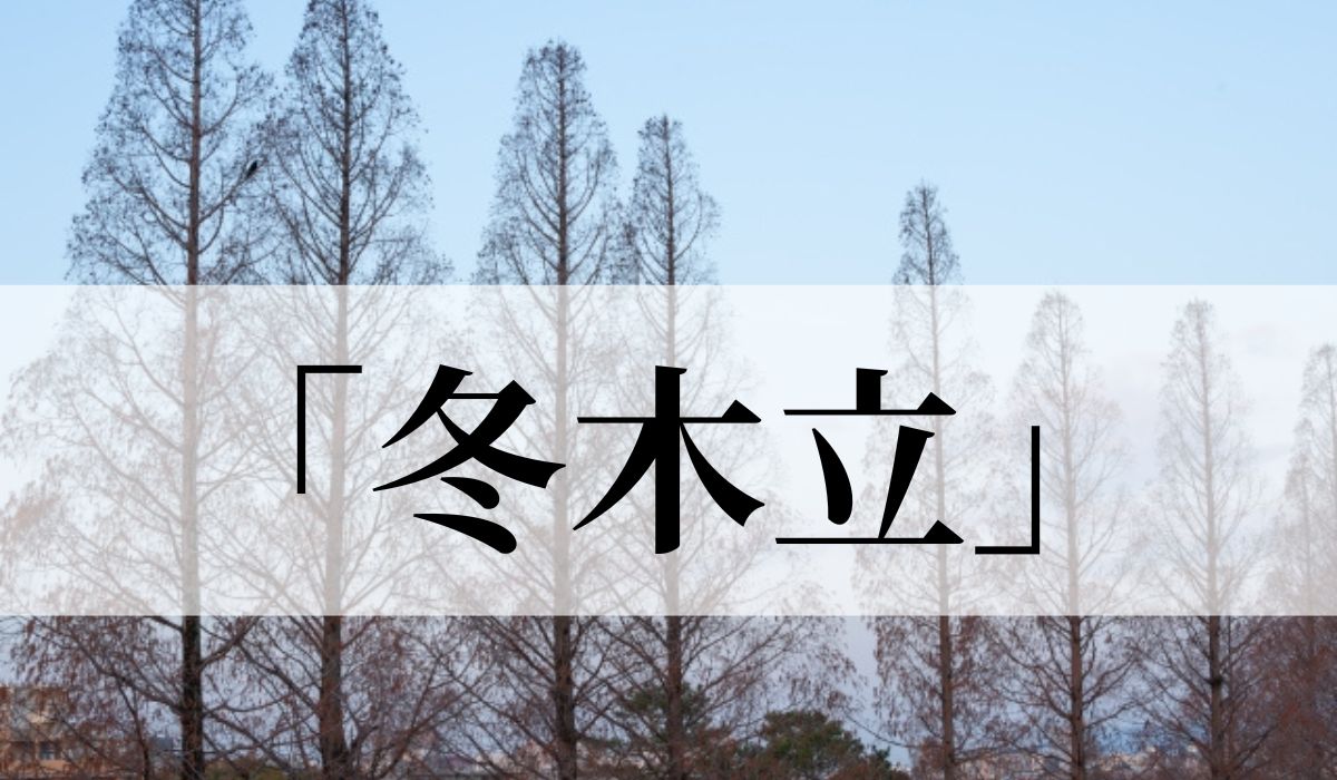 「冬木立」の意味や読み方とは？いつ頃の季語？俳句も紹介