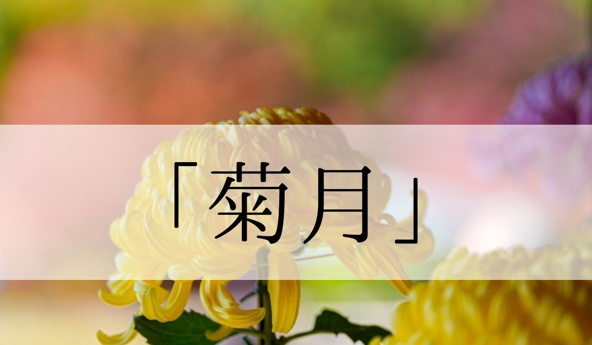 季語「菊月」の意味や由来とは？何月ころ？俳句も紹介