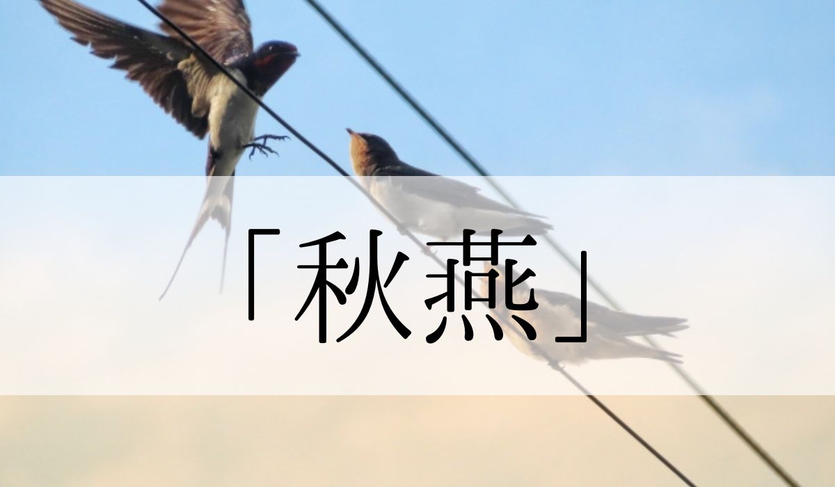 「秋燕」の意味や読み方とは？いつの季語？俳句も紹介