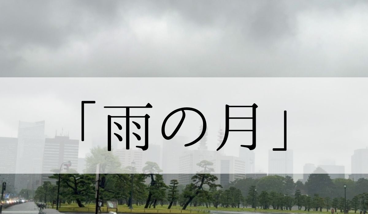 季語「雨の月」の意味とは？いつの季語？類語や俳句も紹介