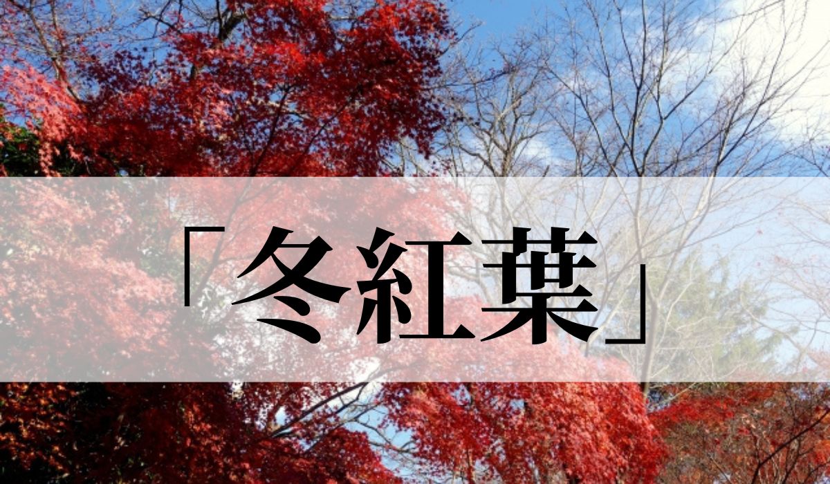 「冬紅葉」の意味や読み方とは？いつの季語？俳句も紹介