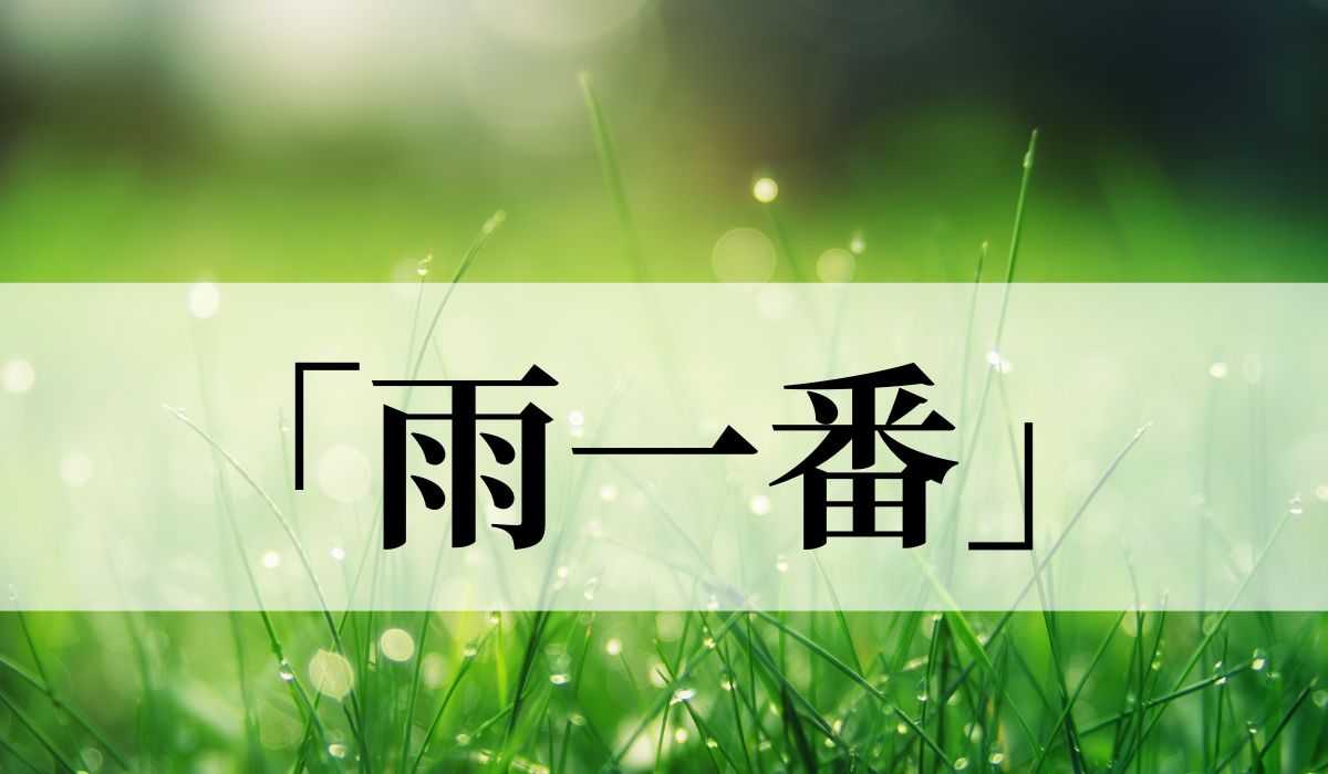 「雨一番」の意味とは？いつの季語？雨に関する俳句も紹介