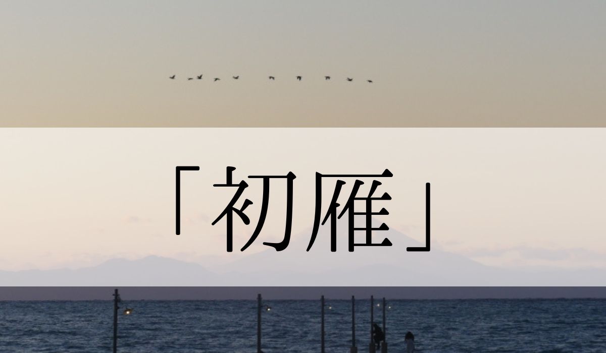 季語「初雁」の意味や読み方とは？いつの季節？俳句も紹介