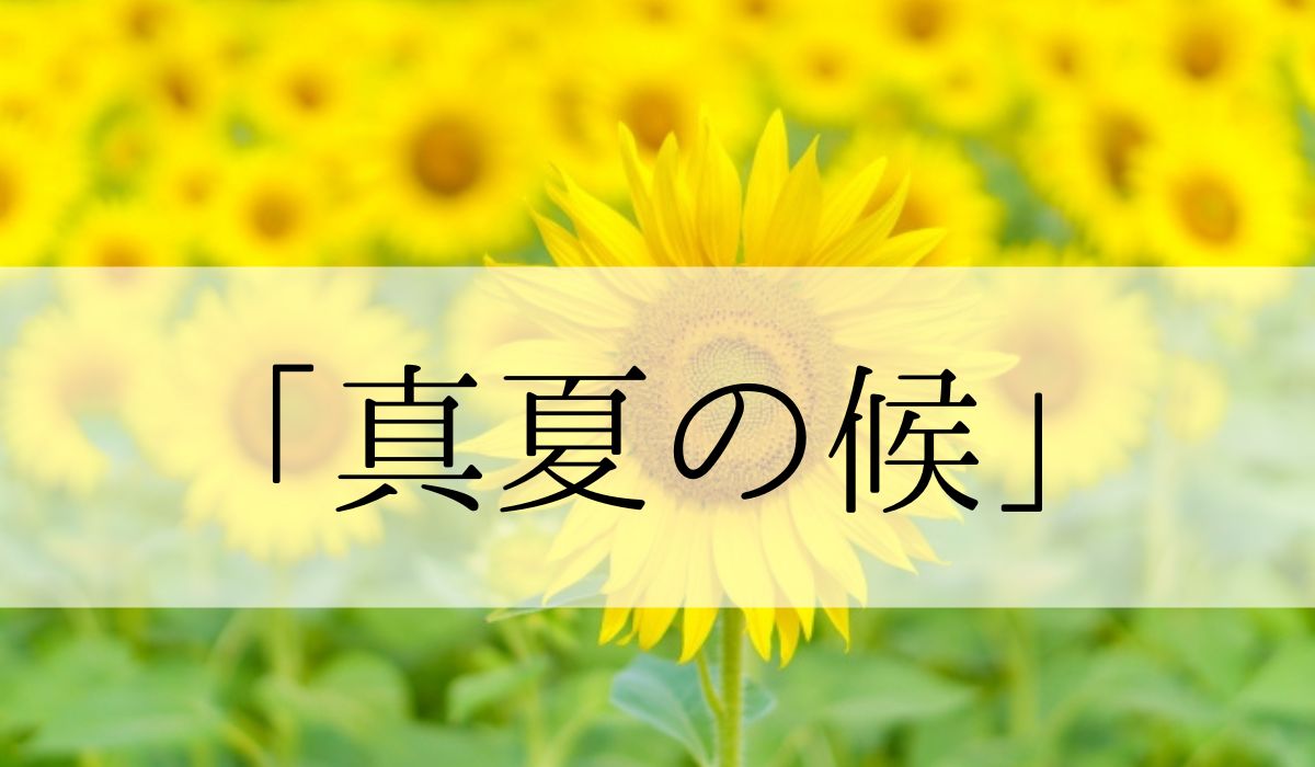 「真夏の候」の時期はいつからいつまで？結びや使い方と例文