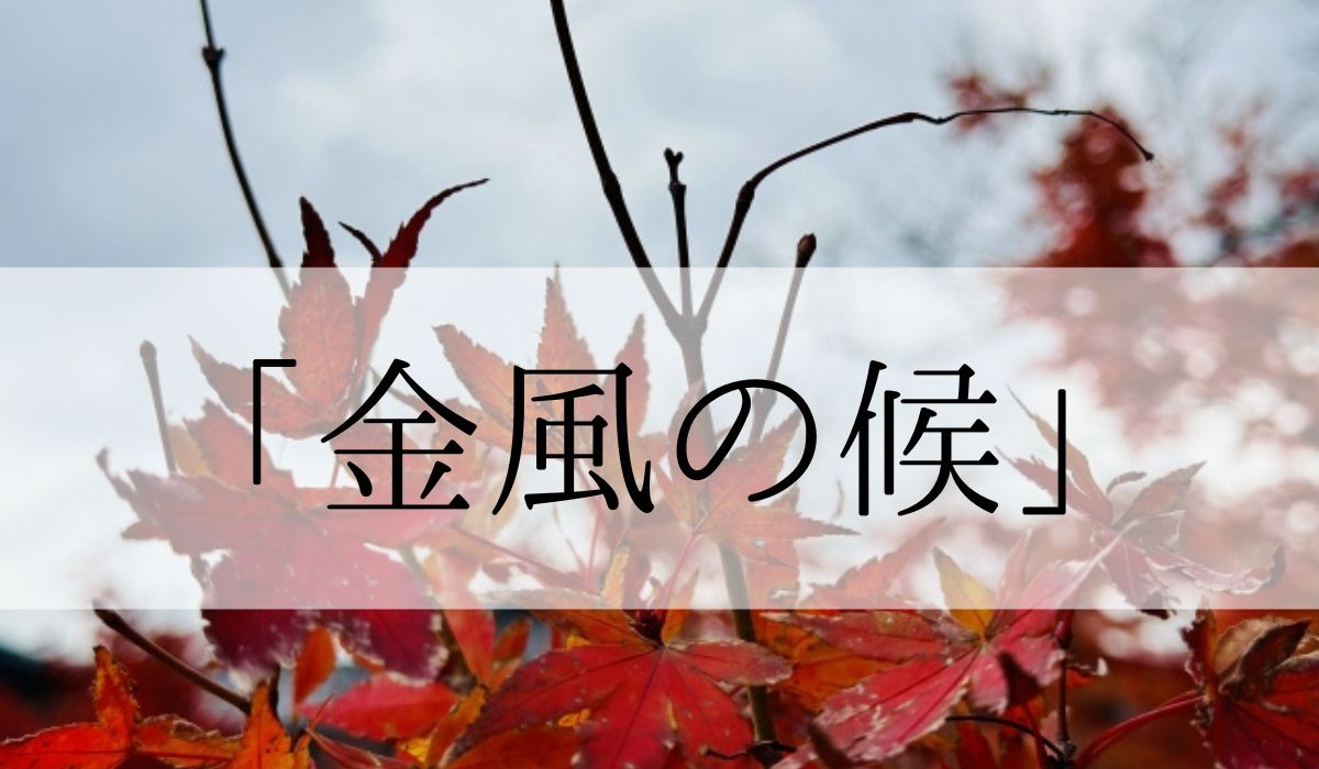 「金風の候」の時期はいつからいつまで？結びや使い方と例文