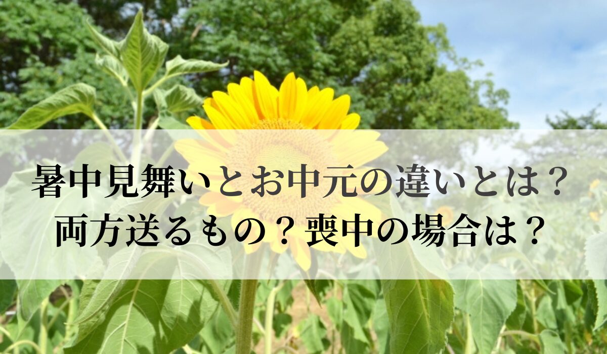 暑中見舞いとお中元の違いとは？両方送るもの？喪中の場合は？