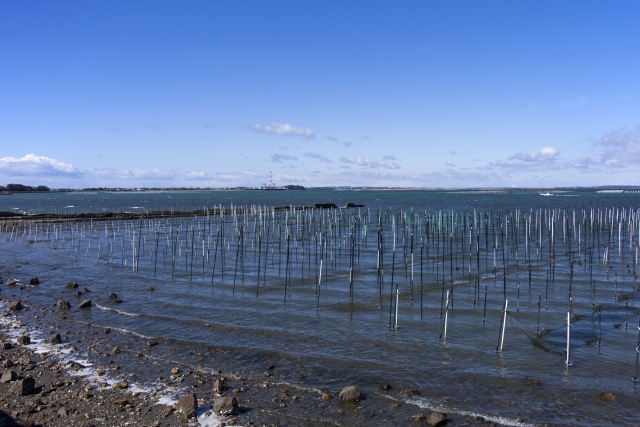 海苔の生産
