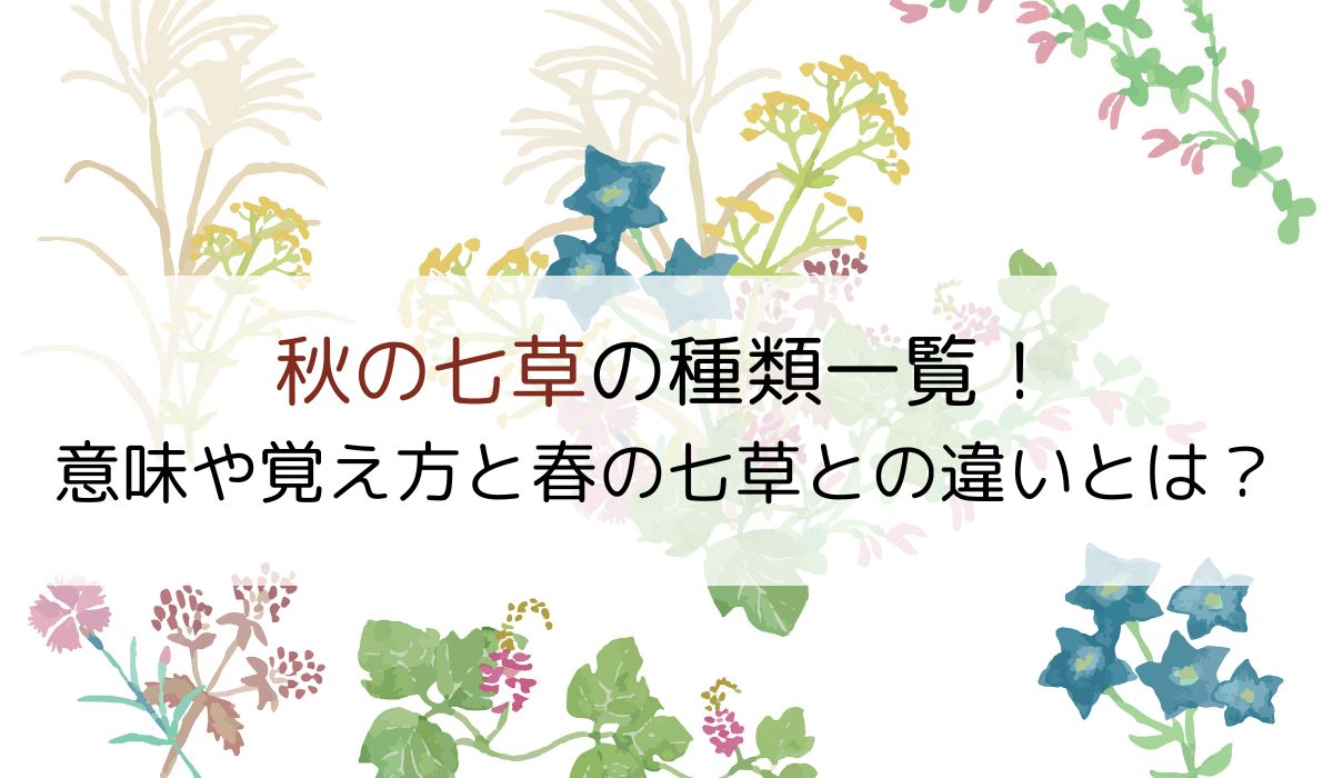 秋の七草の種類一覧！意味や覚え方と春の七草との違いとは？