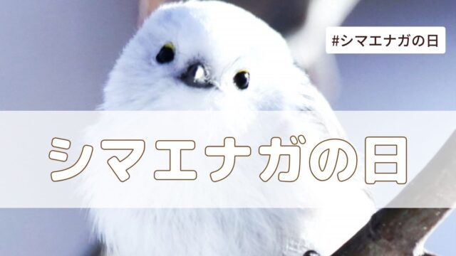 シマエナガの日(1月20日の記念日）とは？由来・意味・雑学まとめ【今日は何の日】