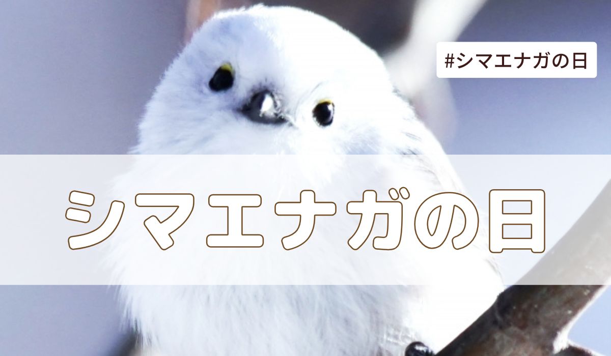 シマエナガの日(1月20日の記念日）とは？由来・意味・雑学まとめ【今日は何の日】