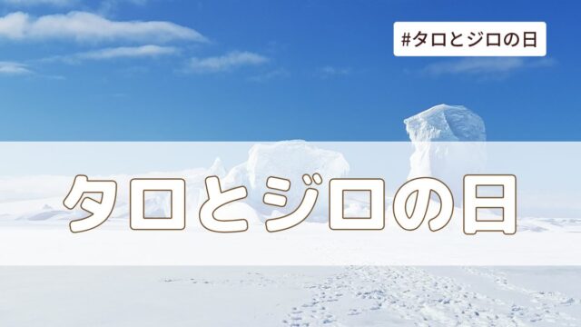 タロとジロの日とは？由来・意味・雑学まとめ【今日は何の日】