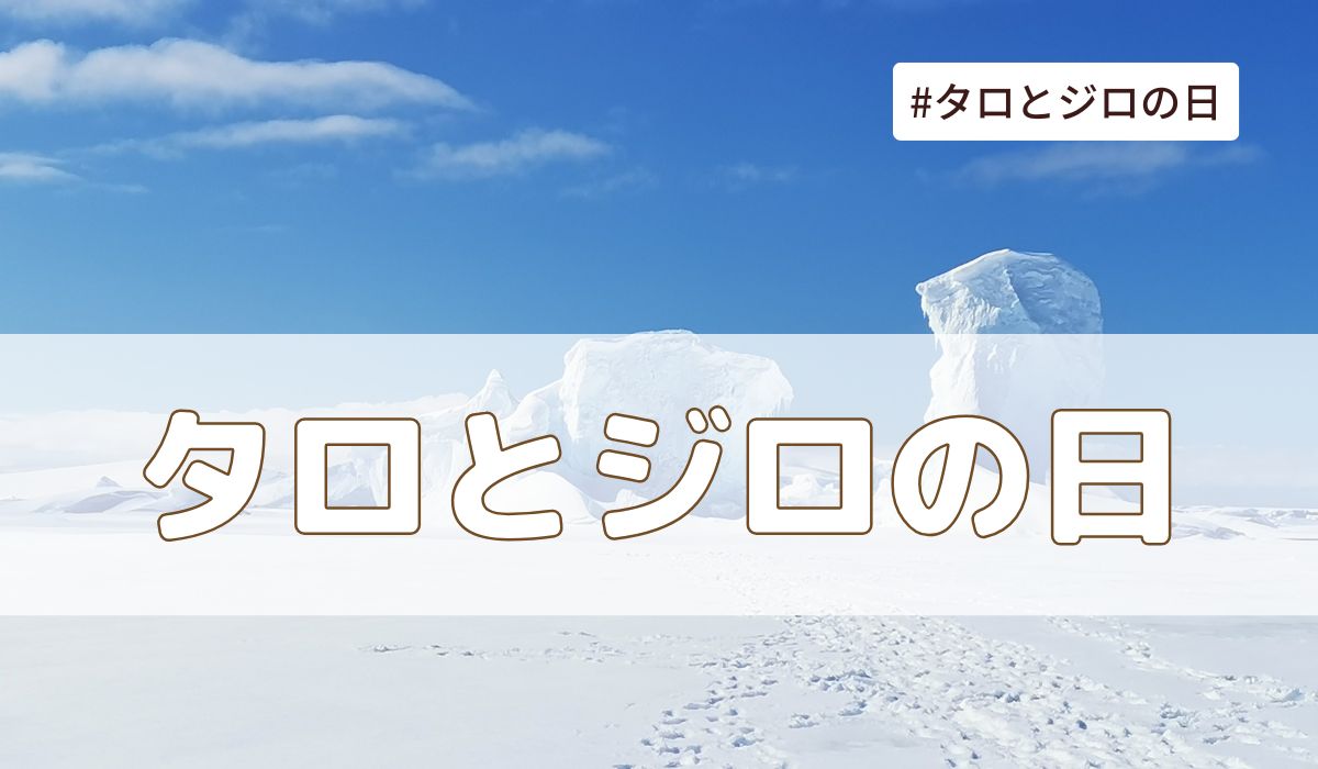 タロとジロの日とは？由来・意味・雑学まとめ【今日は何の日】