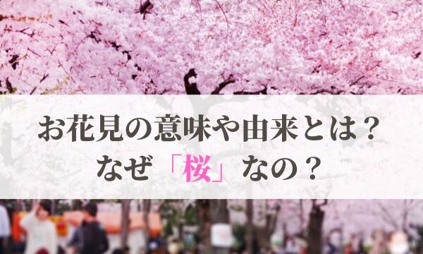 お花見の意味や由来とは？なぜ桜？歴史も解説！