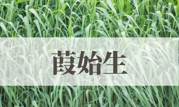 「葭始生（あしはじめてしょうず）」の意味や読み方！由来や時期はいつ？