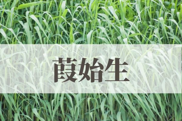 「葭始生（あしはじめてしょうず）」の意味や読み方！由来や時期はいつ？