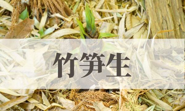 「竹笋生（たけのこしょうず）」の意味や読み方！由来や時期はいつ？