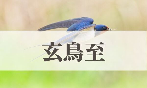 「玄鳥至（つばめきたる）」の意味や読み方！由来や時期はいつ？