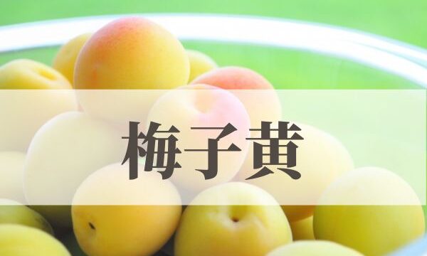 「梅子黄（うめのみきばむ）」の意味や読み方とは？由来や時期はいつ？