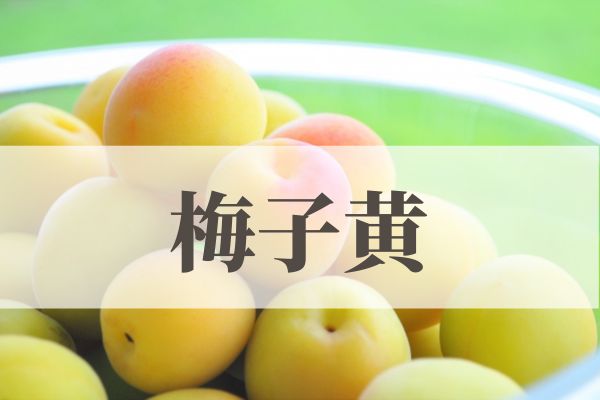 「梅子黄（うめのみきばむ）」の意味や読み方とは？由来や時期はいつ？