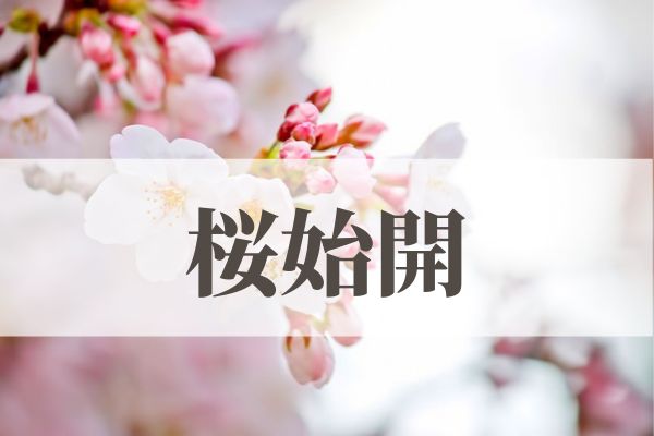 「桜始開」の意味や読み方！時期や由来は？