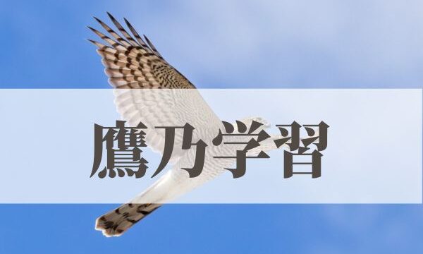 「鷹乃学習（たかすなわちわざをならう）」の意味や読み方とは？由来や時期はいつ？
