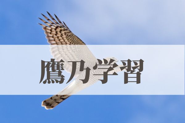 「鷹乃学習（たかすなわちわざをならう）」の意味や読み方とは？由来や時期はいつ？