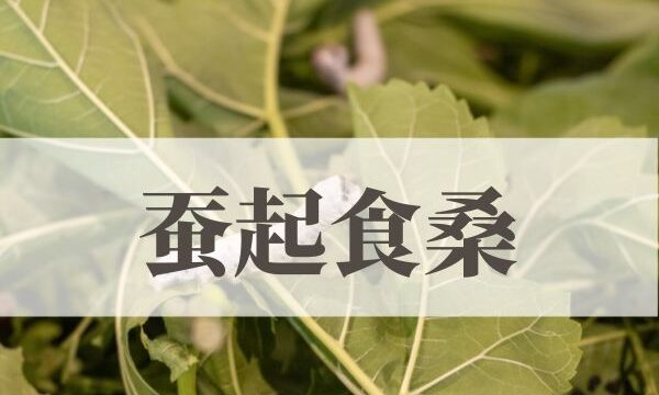 「蚕起食桑の意味や読み方！由来や時期はいつ？