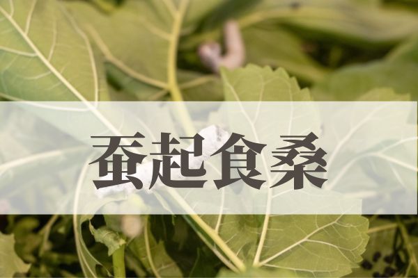 「蚕起食桑の意味や読み方！由来や時期はいつ？