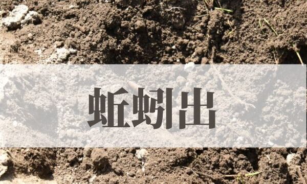 「蚯蚓出（みみずいずる）」の意味や読み方！由来や時期はいつ？
