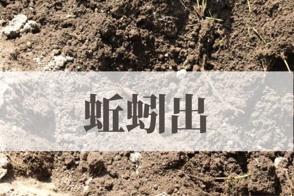 「蚯蚓出（みみずいずる）」の意味や読み方！由来や時期はいつ？