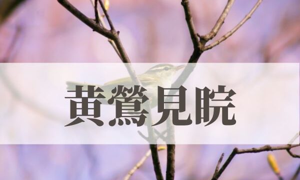 「黄鶯見睆（うぐいす鳴く）」の意味や読み方と由来