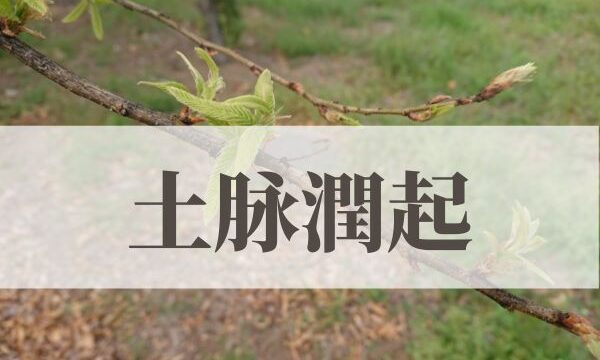 「土脉潤起（土脉潤い起こる）」の意味や読み方と由来