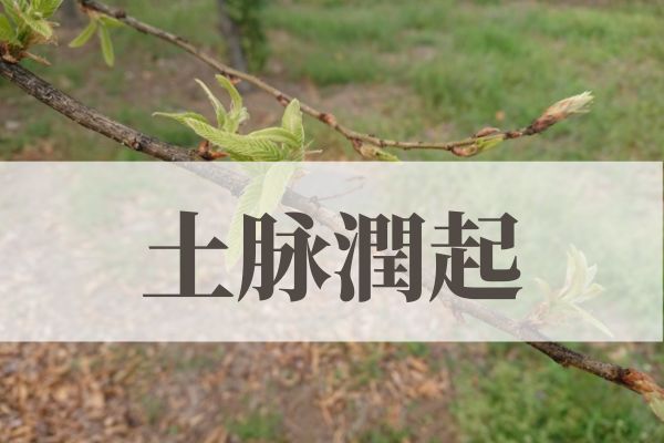 「土脉潤起（土脉潤い起こる）」の意味や読み方と由来