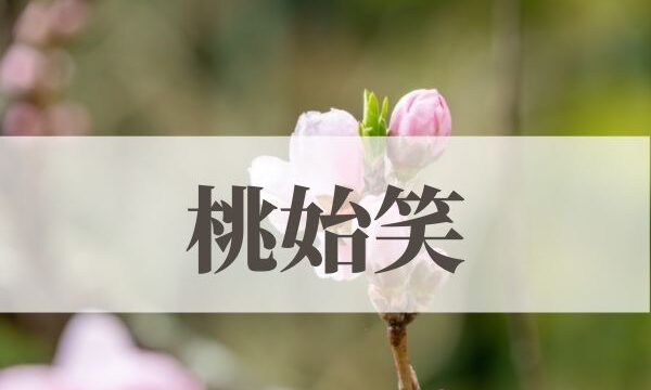 「桃始笑」の意味や読み方！時期や由来は？