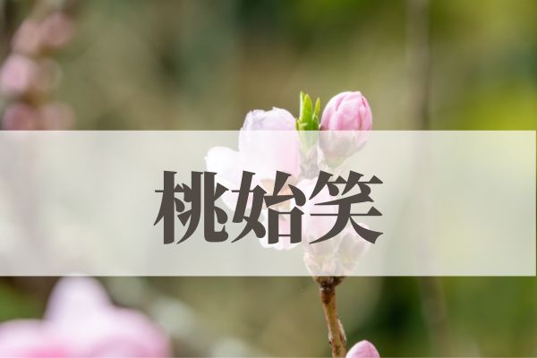 「桃始笑」の意味や読み方！時期や由来は？