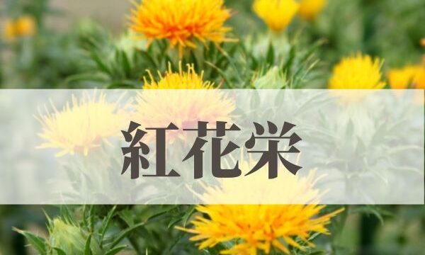 「紅花栄（べにばなさかう）」の意味や読み方！由来や時期はいつ？