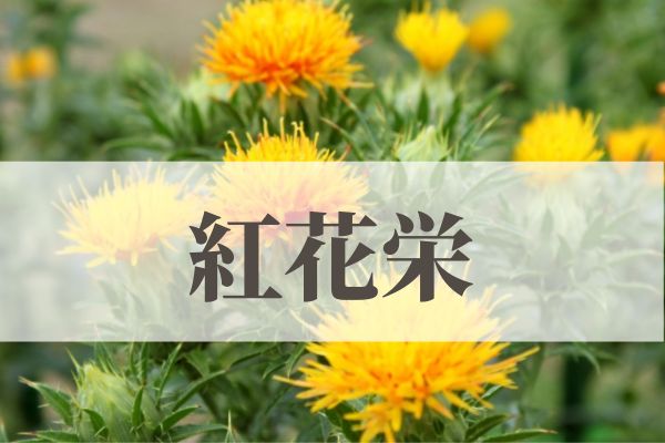 「紅花栄（べにばなさかう）」の意味や読み方！由来や時期はいつ？