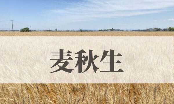 「麦秋生（ばくしゅういたる）」の意味や読み方！由来や時期はいつ？