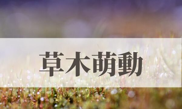「草木萌動」の意味や読み方！時期はいつ？