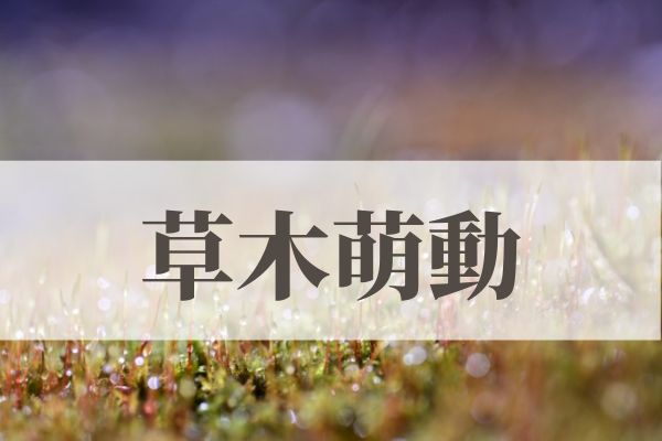 「草木萌動」の意味や読み方！時期はいつ？