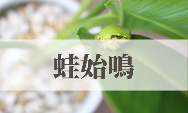 「蛙始鳴（かわずはじめてなく）」の意味や読み方！由来や時期はいつ？